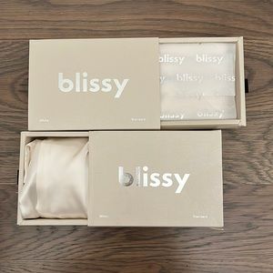 Set of 2 BLISSY 100% silk pillow cases NEW